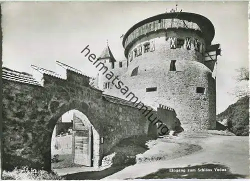 Vaduz - Schloss - Eingang - Foto-Ansichtskarte Großformat