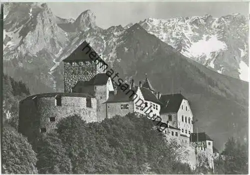 Vaduz - Schloss - Falknis - Foto-Ansichtskarte Großformat