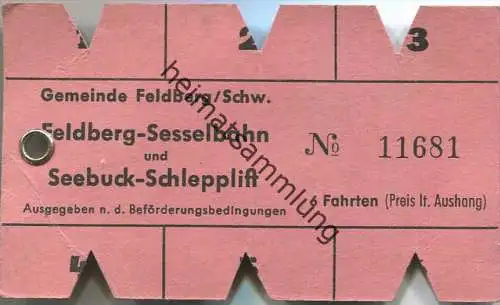 Feldberg-Sesselbahn und Seebuck-Schlepplift - 6 Fahrten