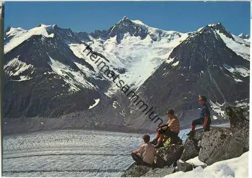 Eggishorn - Großer Aletschgletscher - Ansichtskarte Großformat
