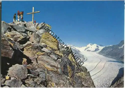 Eggishorngipfel - Großer Aletschgletscher - Ansichtskarte Großformat