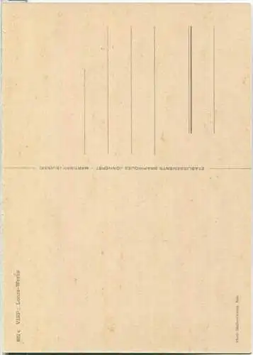 Visp - Lonza-Werke - Ansichtskarte Großformat