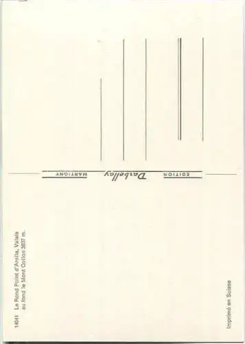 Arolla - le Rond Point - Ansichtskarte Großformat