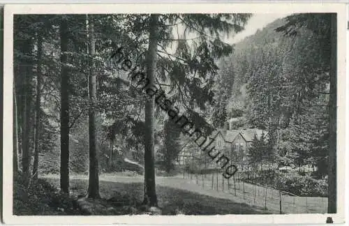 Hotel Wolfbachmühle - Zorge - Hohegeiß