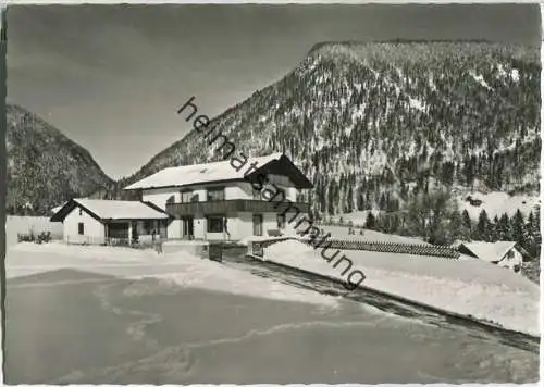 Weißbach an der Alpenstraße - Gästehaus Marchl - Foto-Ansichtskarte