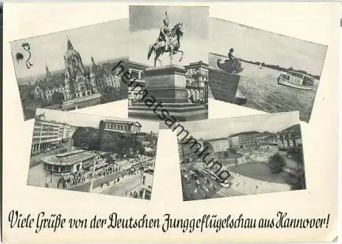 Hannover - Deutsche Junggeflügelschau - Hennengold