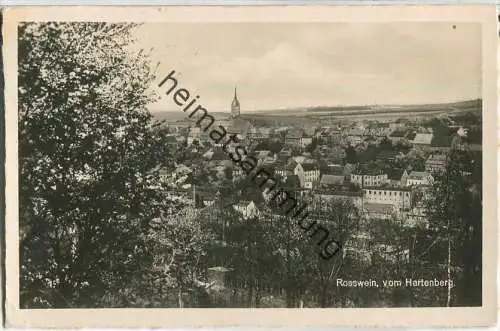 04741 Rosswein vom Hartenberg - Foto-Ansichtskarte - Verlag Trinks & Co. Leipzig