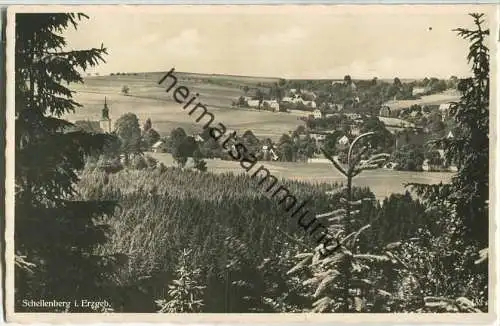 Schellenberg - Foto-Ansichtskarte - Verlag Eckhard Neubert Chemnitz