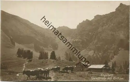 Engelberg - Gerschnialp mit Trübsee - Verlag E. Zurflüh Grand-Basar Engelberg 20er Jahre