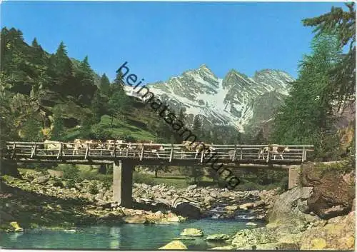 Valle dell' Orco - Ceresole Reale - Passerella sull Orco e Tre Levanne - AK Großformat