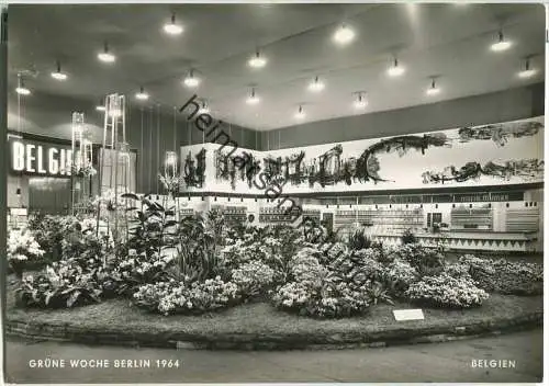 Berlin - Grüne Woche 1964 - Belgien - Foto-Ansichtskarte