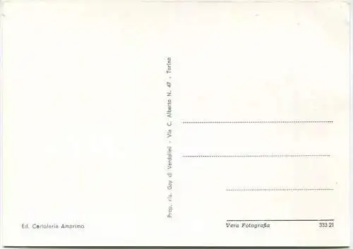 Bardonecchia - Smagliante fioritura di narcisi - Foto-AK Großformat - Vera Fotografia - Ediz. Amprimo Cartoleria