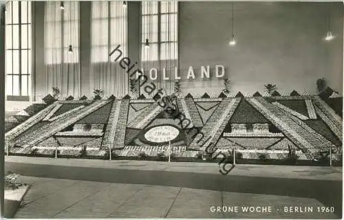 Berlin - Grüne Woche 1960 - Holland - Foto-Ansichtskarte