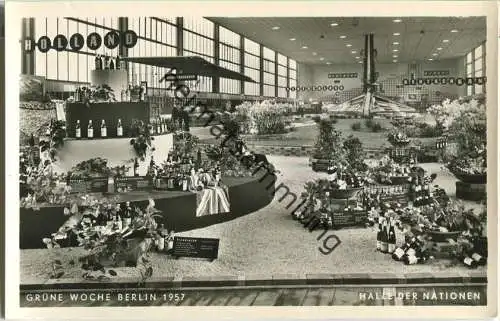 Berlin - Grüne Woche 1957 - Halle der Nationen - Foto-Ansichtskarte