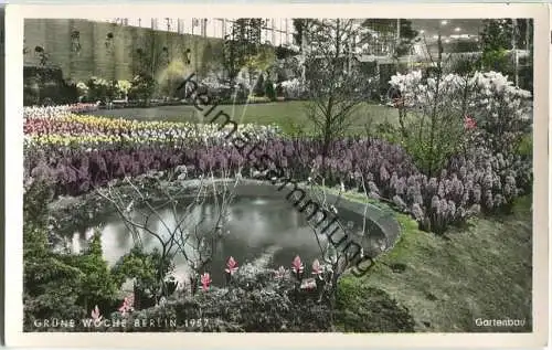 Berlin - Grüne Woche 1957 - Gartenbau - Foto-Ansichtskarte