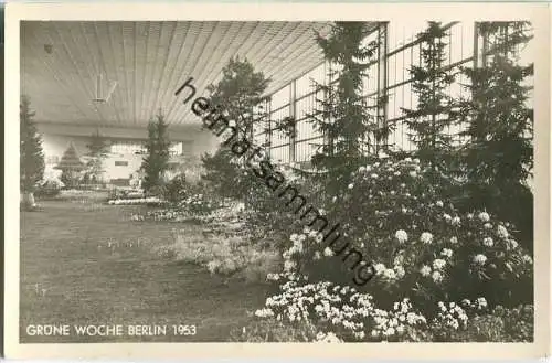 Berlin - Grüne Woche 1953 - Foto-Ansichtskarte