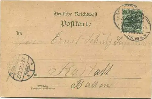 Gruss aus Frankfurt a. M.- Palmengarten - Verlag Philipp Frey Frankfurt gel. 1898