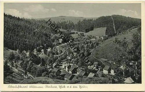 Wildemann - Blick von den drei Birken - Verlag Lederbogen Goslar gel. 1957