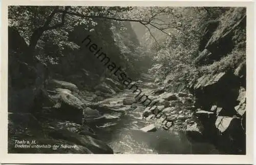 Thale - Bodetal unterhalb der Schurre - Foto-AK 30er Jahre - Verlag Photohaus Hermann Leiste Thale