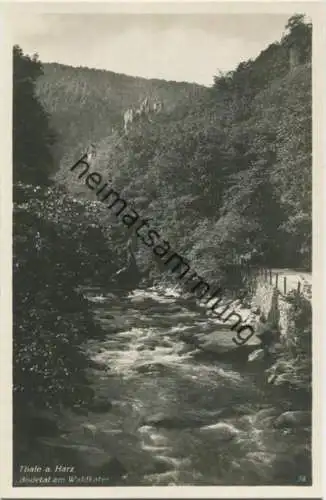 Thale - Bodetal am Waldkater - Foto-AK 30er Jahre - Verlag Photohaus Hermann Leiste Thale
