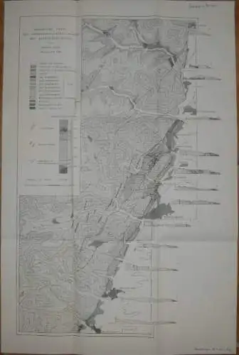 Geologische Karte des Oberrheintalgraben-Randes bei Bergzabern von Henning Jllies Karlsruhe 1960 - 40cm x 60cm 1:25'000