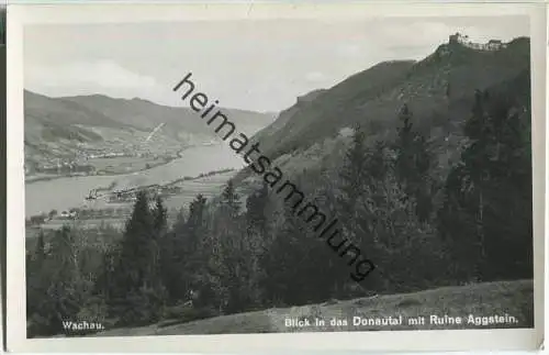 Blick in das Donautal mit Ruine Aggstein - Foto-Ansichtskarte - Verlag P. Ledermann Wien