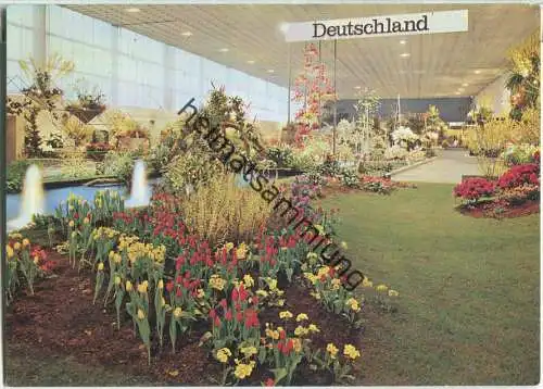 Berlin - Grüne Woche 1967 - Blumenhalle - Foto-Ansichtskarte