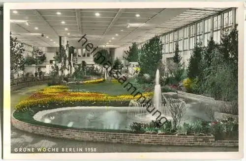 Berlin - Grüne Woche 1958 - Foto-Ansichtskarte