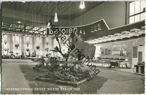 Berlin - Grüne Woche 1962 - Belgien - Foto-Ansichtskarte