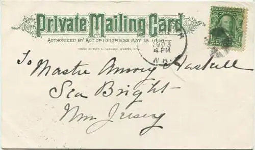 New Hampshire - Mt. Moosilauke - Brezy-Point N. W. - Tip-Top-House - Private Mailing Card gel. 1903