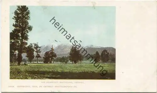 Arizona - San Francisco Mountains - Copyright by Detroit Photographic Co. 1902