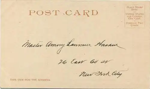 Arizona - San Francisco Mountains - Copyright by Detroit Photographic Co. 1902