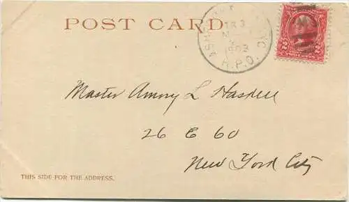 Arizona - The Needles - Colorado River - Copyright by Detroit Photographic Co. gel. 1903