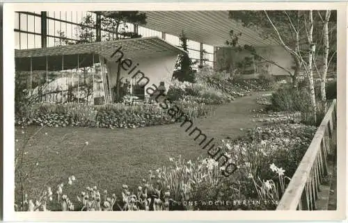 Berlin - Grüne Woche 1956 - Foto-Ansichtskarte