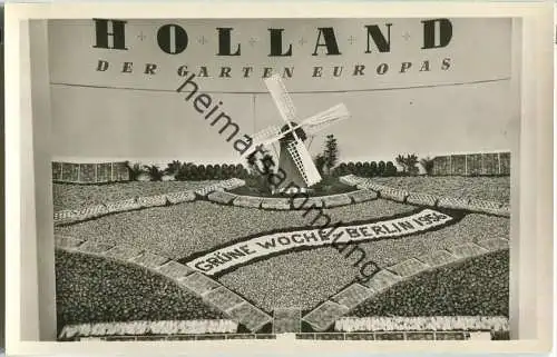 Berlin - Grüne Woche 1956 - Holland - Foto-Ansichtskarte