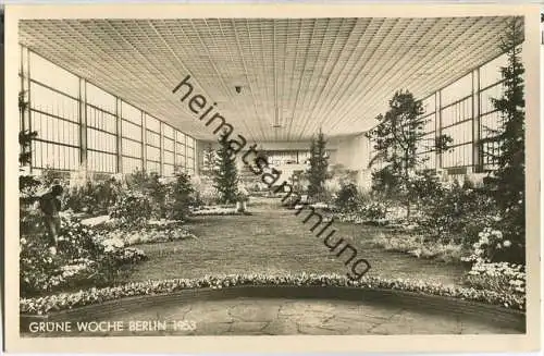 Berlin - Grüne Woche 1953 - Foto-Ansichtskarte