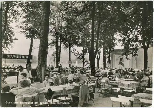 Berlin Tegel - Gaststätte Blumeshof - Besitzer Paul Targatsch - Foto-Ansichtskarte