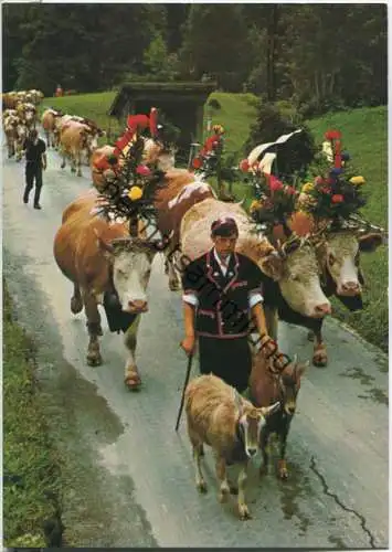 Ziegen - Alpabfahrt - Verlag Gyger Adelboden