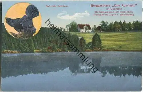 Hahnenklee - Berggasthaus Zum Auerhahn - Verlag R. Lederbogen Halberstadt