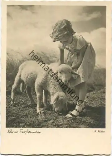 Kleiner Tierfreundin - Schafe - Lämmer - Mädchen - Foto-AK Großformat - Verlag Hermann A. Wiechmann München