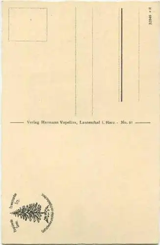 Lautenthal - Waldschlösschen - Verlag Hermann Vopelius Lautenthal