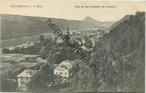 Blick auf Bad Schandau - Verlag Dr. Trenkler & Co Leipzig