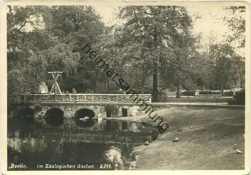 Berlin-Charlottenburg - Im Zoologischen Garten - Foto-AK Grossformat - Photo-Verlag R. Lissner Berlin - rückseitig Sonde