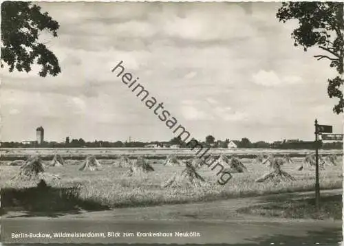 Berlin-Buckow - Wildmeisterdamm - Blick zum Krankenhaus Neukölln - Foto-AK Großformat - Verlag Gutschmidt Berlin