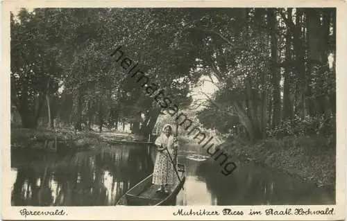 Spreewald - Mutnitzer Fliess im Staatlichen Hochwald - Foto-AK - Verlag Max O Brien Berlin gel. 1939