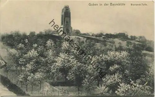 Guben in der Baumblüte - Bismarck-Turm - Verlag Julius Rothe Guben
