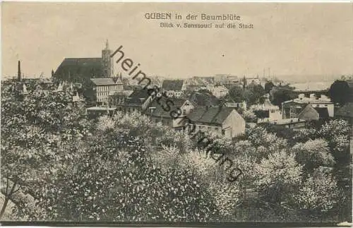 Guben in der Baumblüte - Blick von Sanssouci auf die Stadt - Verlag Julius Rothe Guben