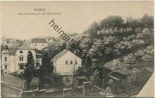 Guben - Kaminsky Berg in der Baumblüte - Verlag Julius Rothe Guben