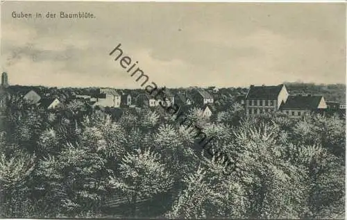 Guben in der Baumblüte - Verlag Julius Rothe Guben