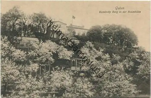 Guben - Kaminsky Berg in der Baumblüte - Verlag Julius Rothe Guben